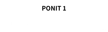 POINT 1 과목별 전문 스타강사진